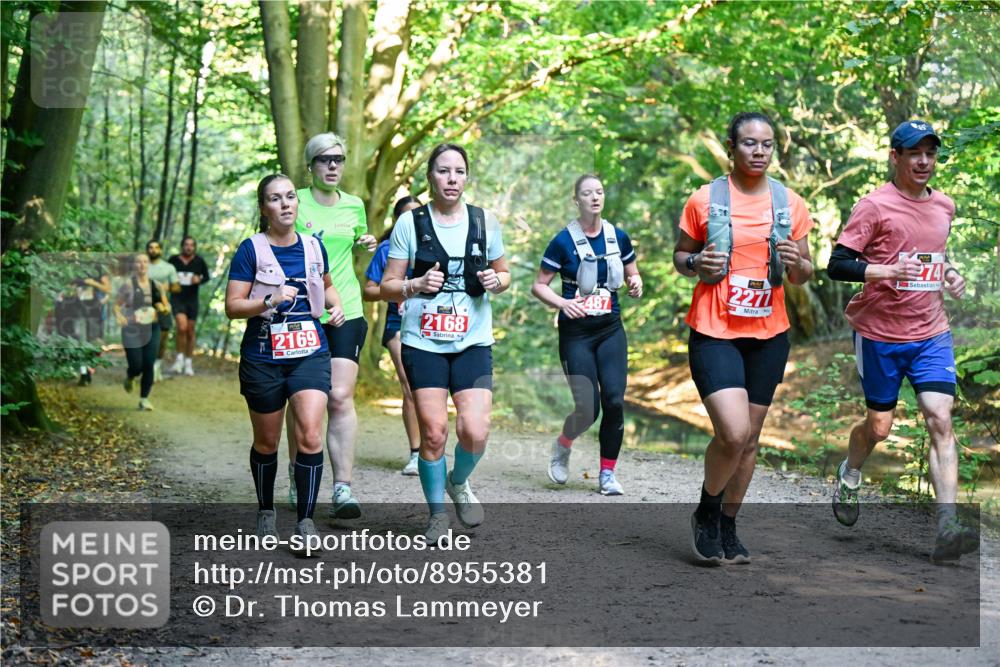 28.09.2025 - 33. Volkslauf durch das schöne Alstertal Dr. Thomas Lammeyer http://msf.ph/oto/8955381 28.09.2025 10:41:28 Laufen 74, 2169, 2168, 2277 meine-sportfotos.de