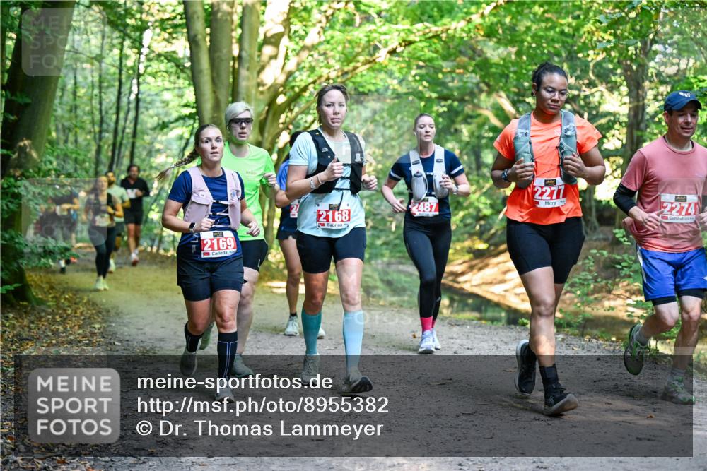 28.09.2025 - 33. Volkslauf durch das schöne Alstertal Dr. Thomas Lammeyer http://msf.ph/oto/8955382 28.09.2025 10:41:28 Laufen 2169, 2168, 2487, 2277, 2274 meine-sportfotos.de