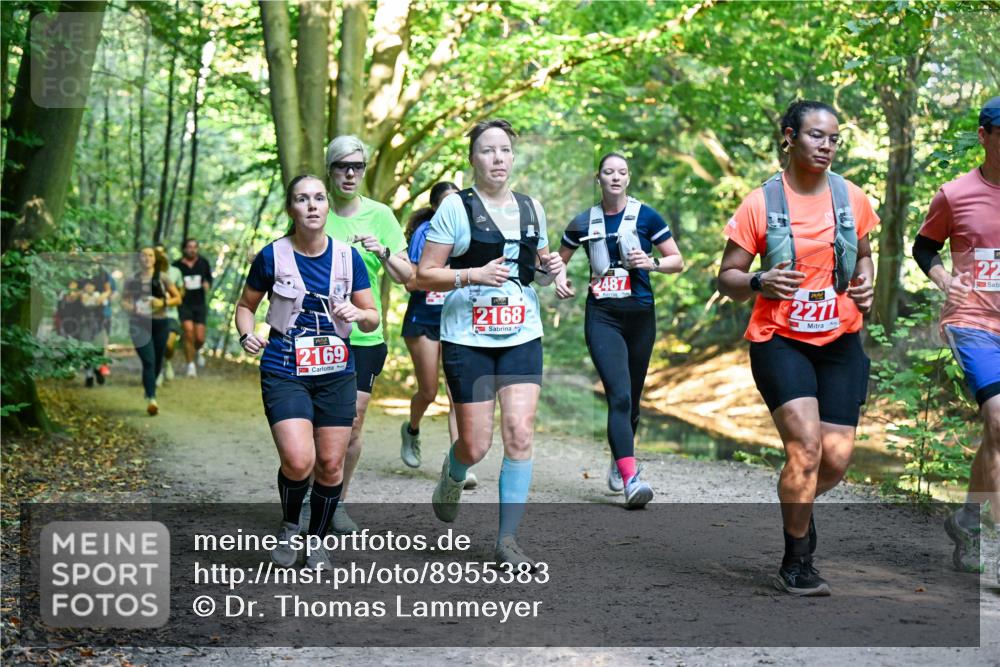 28.09.2025 - 33. Volkslauf durch das schöne Alstertal Dr. Thomas Lammeyer http://msf.ph/oto/8955383 28.09.2025 10:41:28 Laufen 2169, 21687, 2487, 2277, 22 meine-sportfotos.de