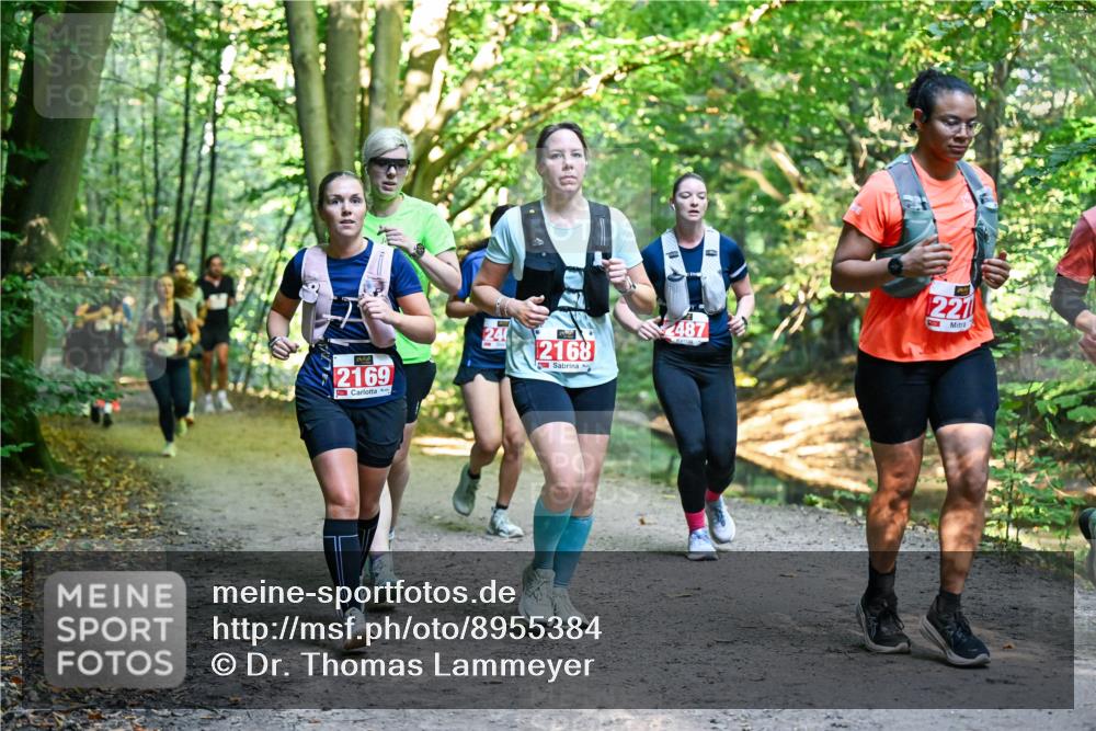 28.09.2025 - 33. Volkslauf durch das schöne Alstertal Dr. Thomas Lammeyer http://msf.ph/oto/8955384 28.09.2025 10:41:28 Laufen 2169, 240, 2168, 487, 221 meine-sportfotos.de