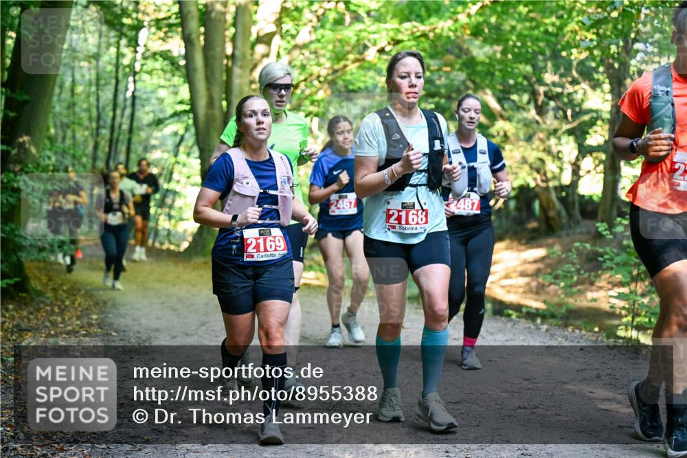 28.09.2025 - 33. Volkslauf durch das schöne Alstertal Dr. Thomas Lammeyer http://msf.ph/oto/8955388 28.09.2025 10:41:28 Laufen 2169, 2467, 2168, 2487, 22 meine-sportfotos.de