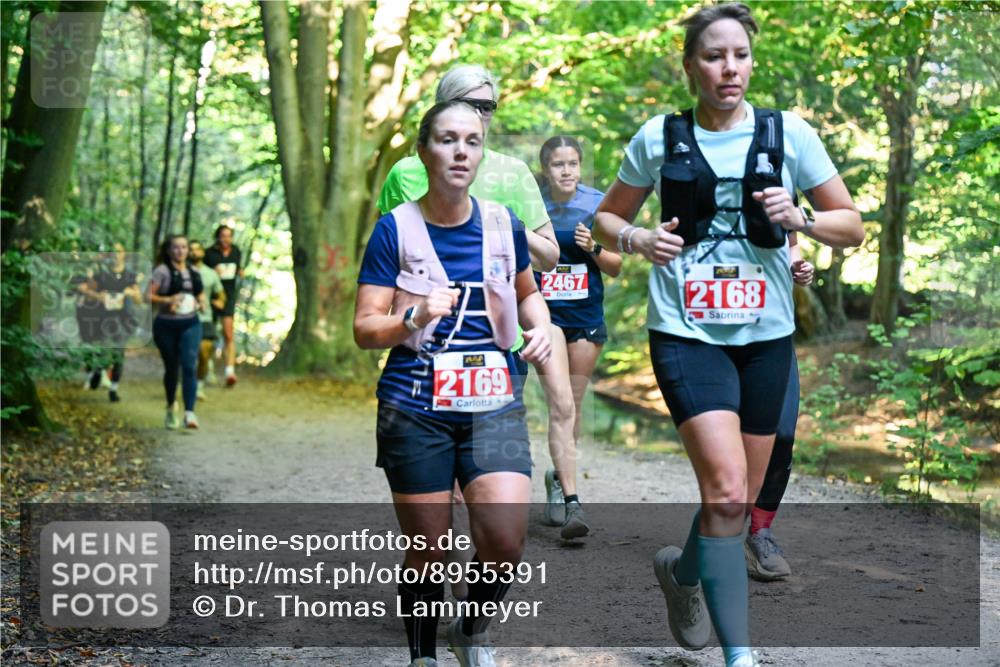28.09.2025 - 33. Volkslauf durch das schöne Alstertal Dr. Thomas Lammeyer http://msf.ph/oto/8955391 28.09.2025 10:41:29 Laufen 2169, 2467, 2168 meine-sportfotos.de