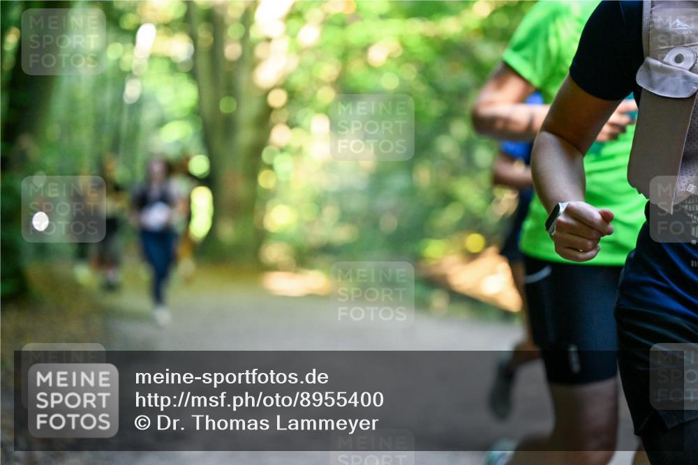 28.09.2025 - 33. Volkslauf durch das schöne Alstertal Dr. Thomas Lammeyer http://msf.ph/oto/8955400 28.09.2025 10:41:30 Laufen  meine-sportfotos.de