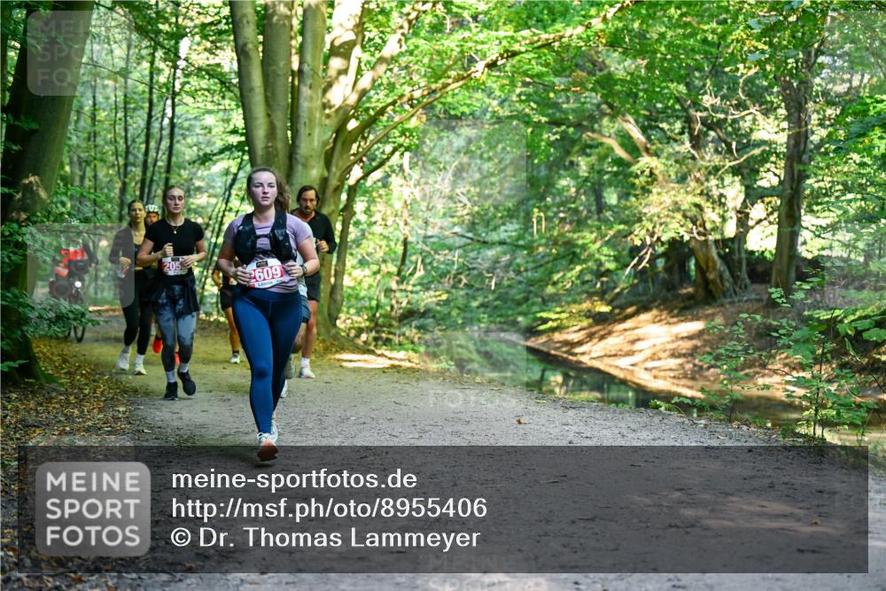 28.09.2025 - 33. Volkslauf durch das schöne Alstertal Dr. Thomas Lammeyer http://msf.ph/oto/8955406 28.09.2025 10:41:31 Laufen 205, 2609 meine-sportfotos.de