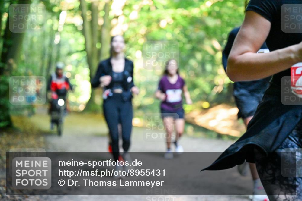 28.09.2025 - 33. Volkslauf durch das schöne Alstertal Dr. Thomas Lammeyer http://msf.ph/oto/8955431 28.09.2025 10:41:36 Laufen  meine-sportfotos.de