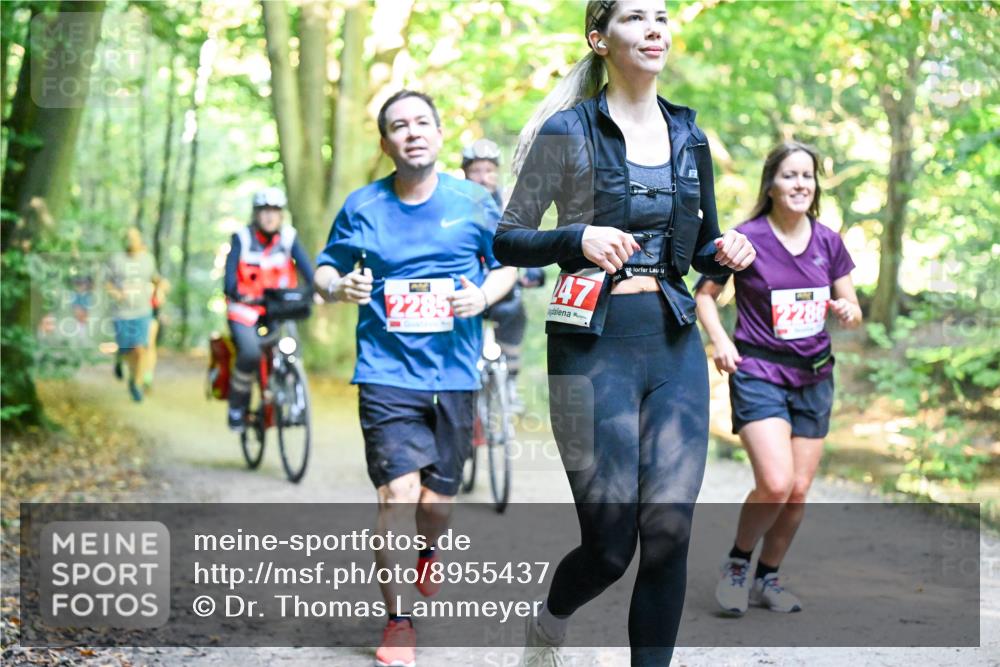 28.09.2025 - 33. Volkslauf durch das schöne Alstertal Dr. Thomas Lammeyer http://msf.ph/oto/8955437 28.09.2025 10:41:37 Laufen 2285, 47, 2286 meine-sportfotos.de