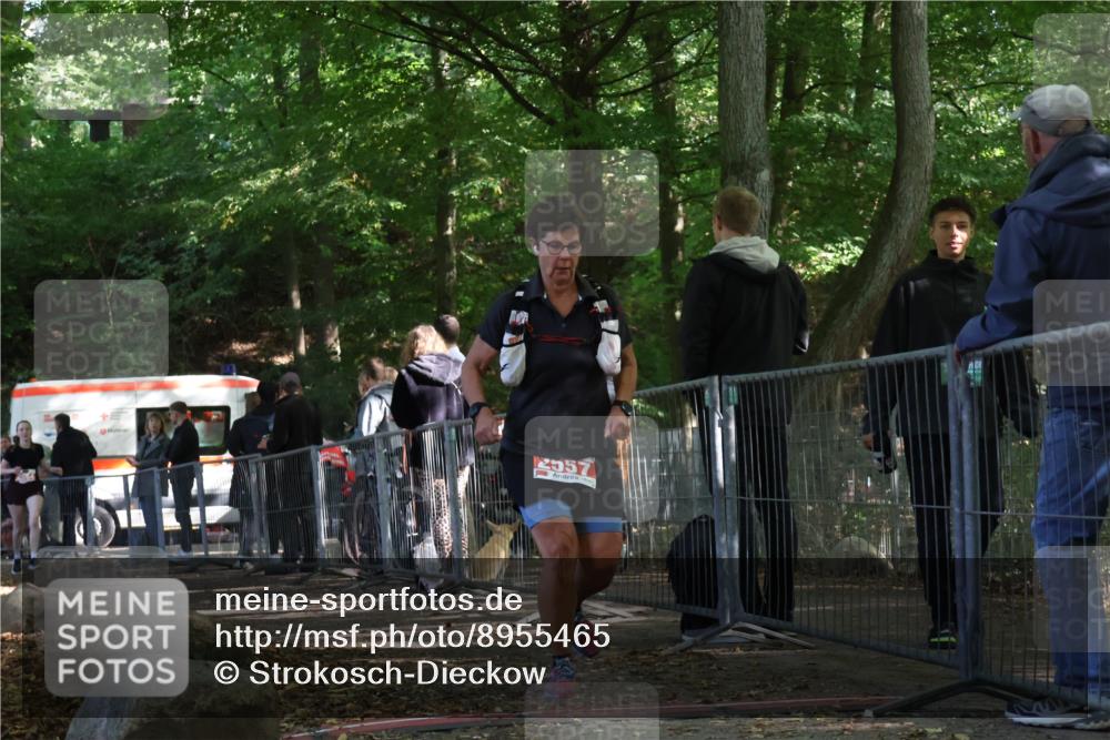 28.09.2025 - 33. Volkslauf durch das schöne Alstertal Strokosch-Dieckow http://msf.ph/oto/8955465 28.09.2025 12:47:21 Ziel 2557, 2564 meine-sportfotos.de