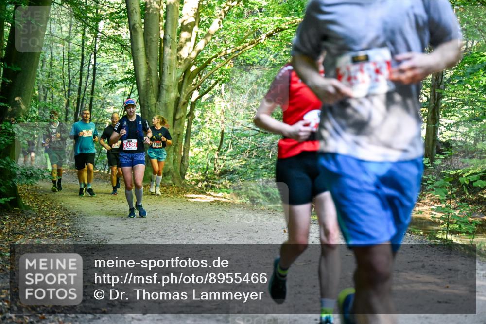 28.09.2025 - 33. Volkslauf durch das schöne Alstertal Dr. Thomas Lammeyer http://msf.ph/oto/8955466 28.09.2025 10:41:43 Laufen  meine-sportfotos.de