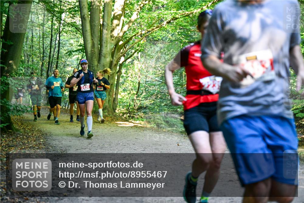28.09.2025 - 33. Volkslauf durch das schöne Alstertal Dr. Thomas Lammeyer http://msf.ph/oto/8955467 28.09.2025 10:41:43 Laufen 2042, 204, 2436, 1068 meine-sportfotos.de