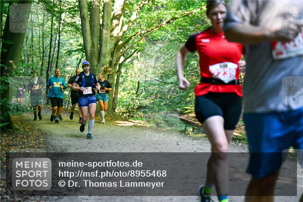 28.09.2025 - 33. Volkslauf durch das schöne Alstertal Dr. Thomas Lammeyer http://msf.ph/oto/8955468 28.09.2025 10:41:44 Laufen 2042, 2436, 1068 meine-sportfotos.de