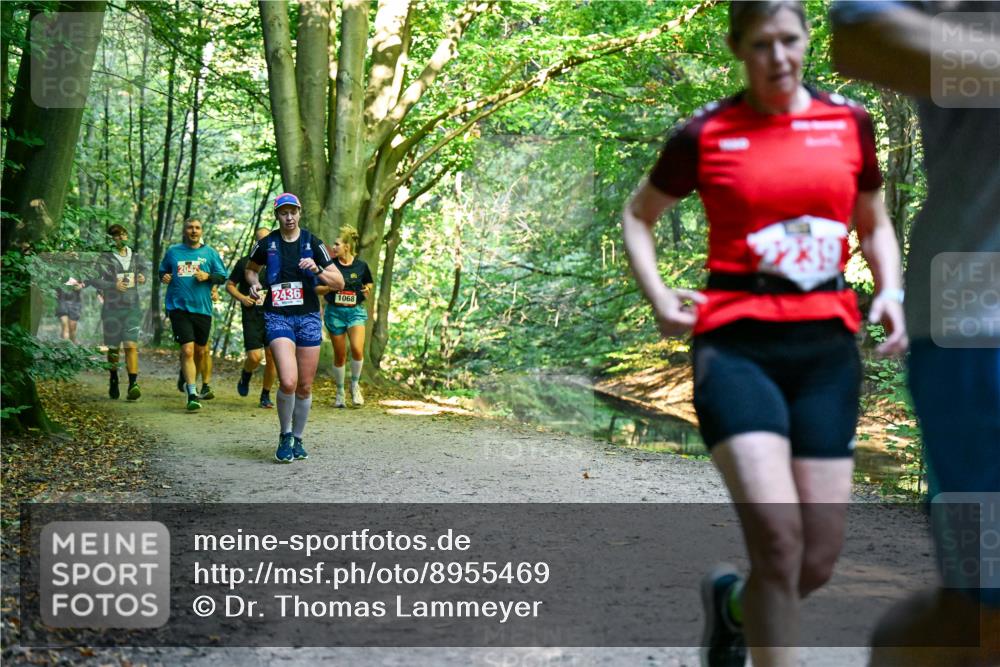 28.09.2025 - 33. Volkslauf durch das schöne Alstertal Dr. Thomas Lammeyer http://msf.ph/oto/8955469 28.09.2025 10:41:44 Laufen 2436, 1068 meine-sportfotos.de