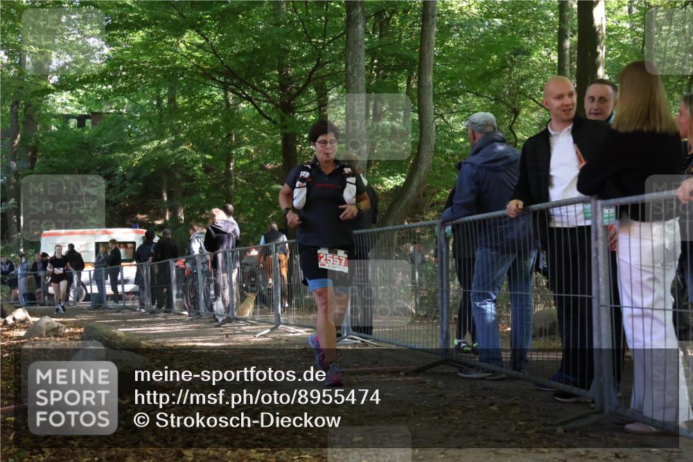 28.09.2025 - 33. Volkslauf durch das schöne Alstertal Strokosch-Dieckow http://msf.ph/oto/8955474 28.09.2025 12:47:21 Ziel 2557, 2564 meine-sportfotos.de