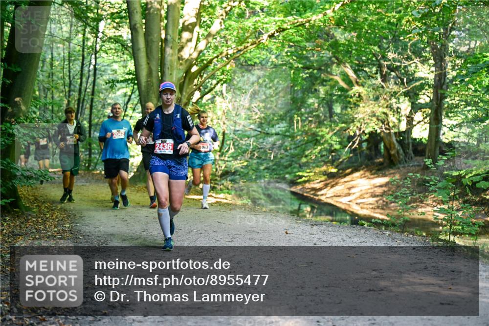 28.09.2025 - 33. Volkslauf durch das schöne Alstertal Dr. Thomas Lammeyer http://msf.ph/oto/8955477 28.09.2025 10:41:45 Laufen 30, 204, 2436, 068 meine-sportfotos.de