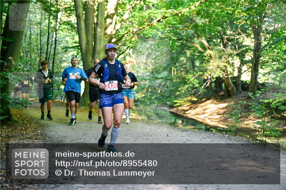 28.09.2025 - 33. Volkslauf durch das schöne Alstertal Dr. Thomas Lammeyer http://msf.ph/oto/8955480 28.09.2025 10:41:45 Laufen 2436 meine-sportfotos.de