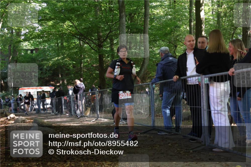 28.09.2025 - 33. Volkslauf durch das schöne Alstertal Strokosch-Dieckow http://msf.ph/oto/8955482 28.09.2025 12:47:22 Ziel 2557, 2564 meine-sportfotos.de