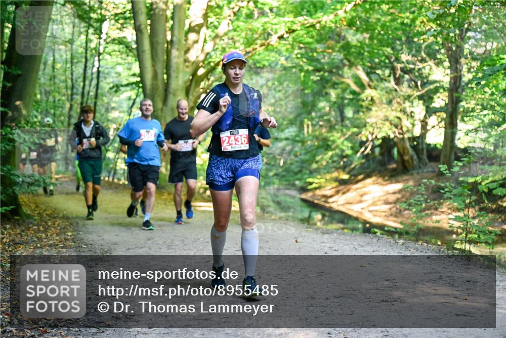 28.09.2025 - 33. Volkslauf durch das schöne Alstertal Dr. Thomas Lammeyer http://msf.ph/oto/8955485 28.09.2025 10:41:46 Laufen 2436 meine-sportfotos.de