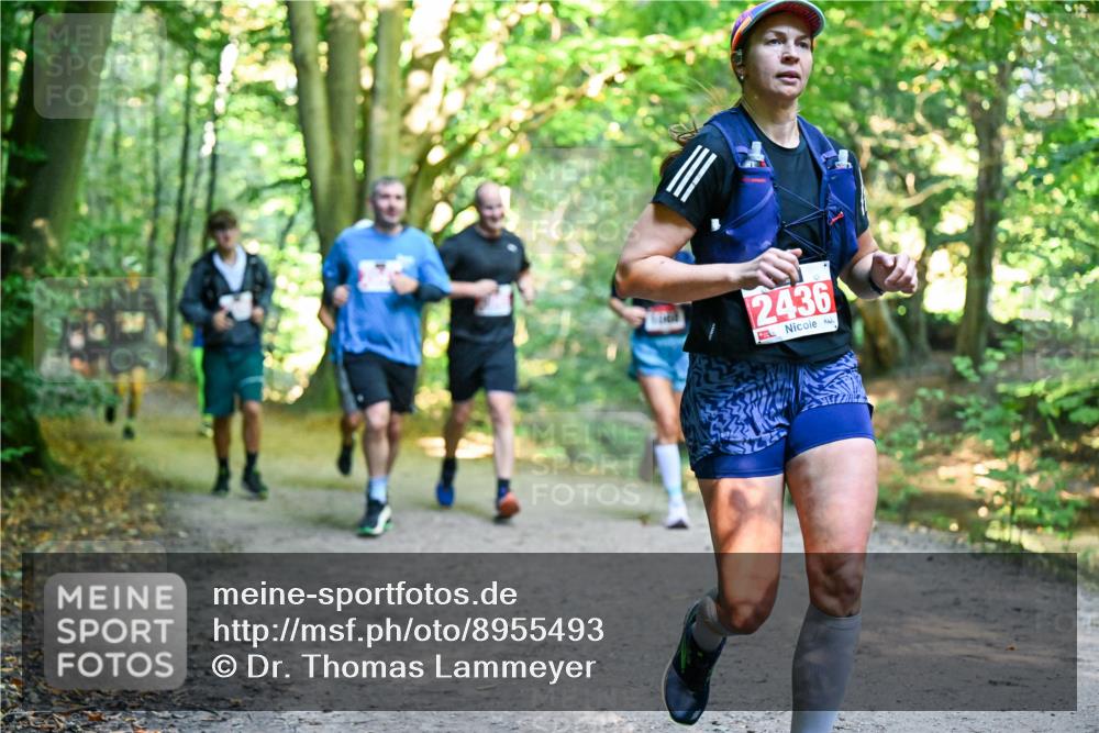 28.09.2025 - 33. Volkslauf durch das schöne Alstertal Dr. Thomas Lammeyer http://msf.ph/oto/8955493 28.09.2025 10:41:47 Laufen 2436 meine-sportfotos.de
