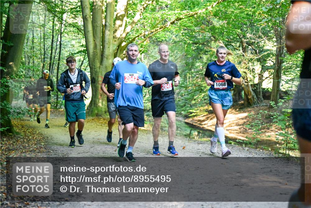 28.09.2025 - 33. Volkslauf durch das schöne Alstertal Dr. Thomas Lammeyer http://msf.ph/oto/8955495 28.09.2025 10:41:47 Laufen 096, 2045, 1068 meine-sportfotos.de