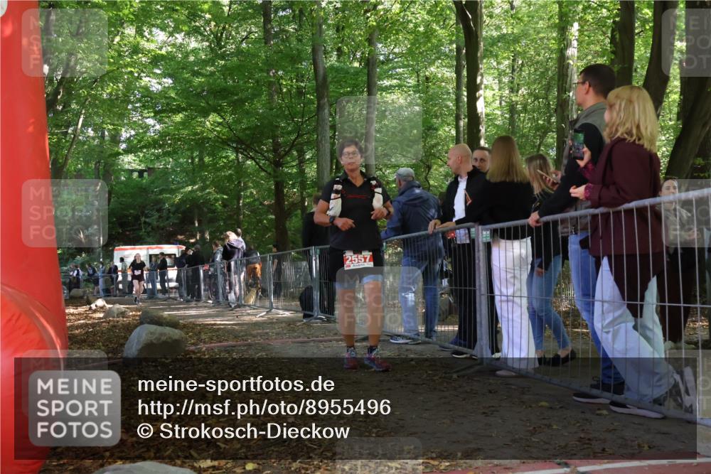 28.09.2025 - 33. Volkslauf durch das schöne Alstertal Strokosch-Dieckow http://msf.ph/oto/8955496 28.09.2025 12:47:22 Ziel 2557, 2564 meine-sportfotos.de