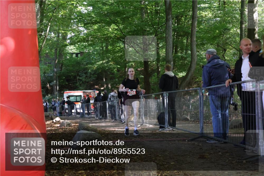28.09.2025 - 33. Volkslauf durch das schöne Alstertal Strokosch-Dieckow http://msf.ph/oto/8955523 28.09.2025 12:47:27 Ziel 2564 meine-sportfotos.de