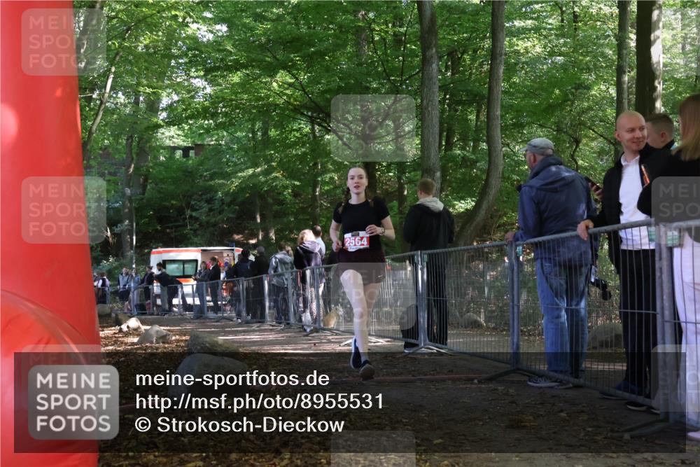 28.09.2025 - 33. Volkslauf durch das schöne Alstertal Strokosch-Dieckow http://msf.ph/oto/8955531 28.09.2025 12:47:28 Ziel 2564 meine-sportfotos.de