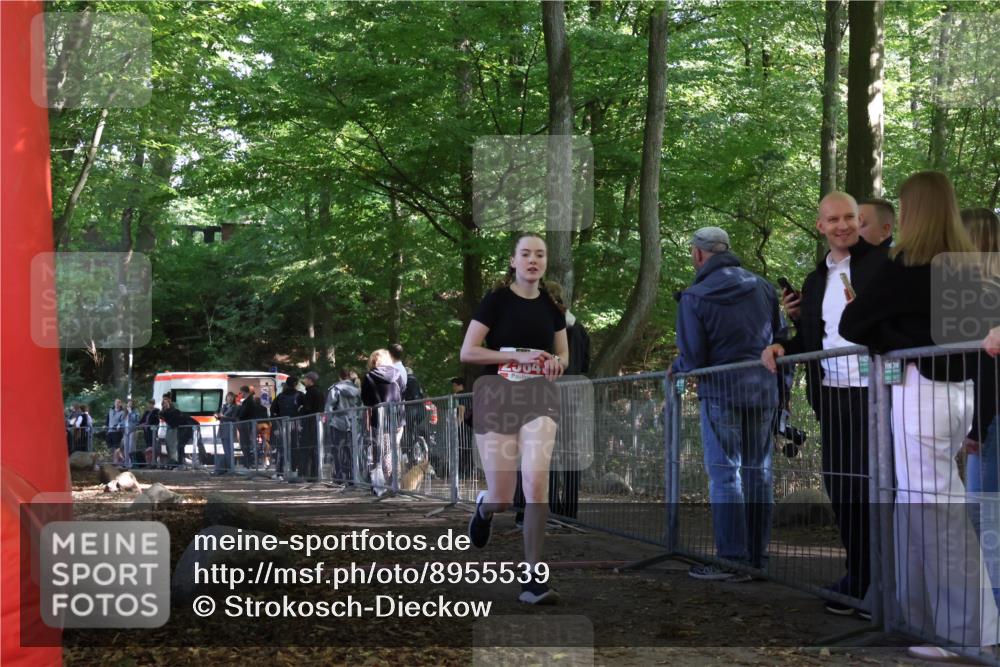 28.09.2025 - 33. Volkslauf durch das schöne Alstertal Strokosch-Dieckow http://msf.ph/oto/8955539 28.09.2025 12:47:28 Ziel 2564 meine-sportfotos.de