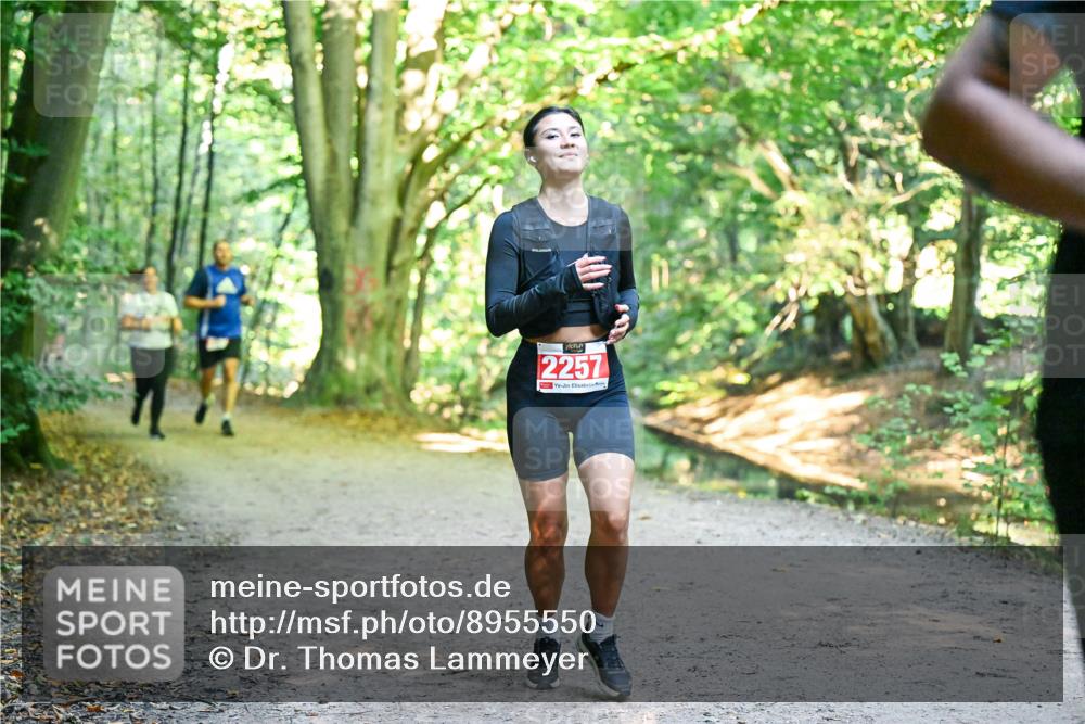 28.09.2025 - 33. Volkslauf durch das schöne Alstertal Dr. Thomas Lammeyer http://msf.ph/oto/8955550 28.09.2025 10:41:55 Laufen 2257 meine-sportfotos.de