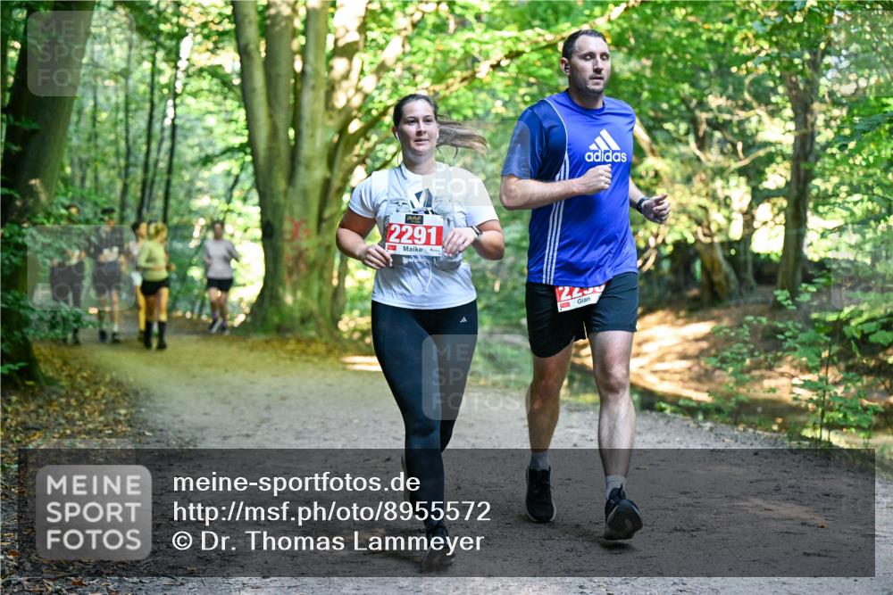 28.09.2025 - 33. Volkslauf durch das schöne Alstertal Dr. Thomas Lammeyer http://msf.ph/oto/8955572 28.09.2025 10:42:01 Laufen 2291, 24 meine-sportfotos.de