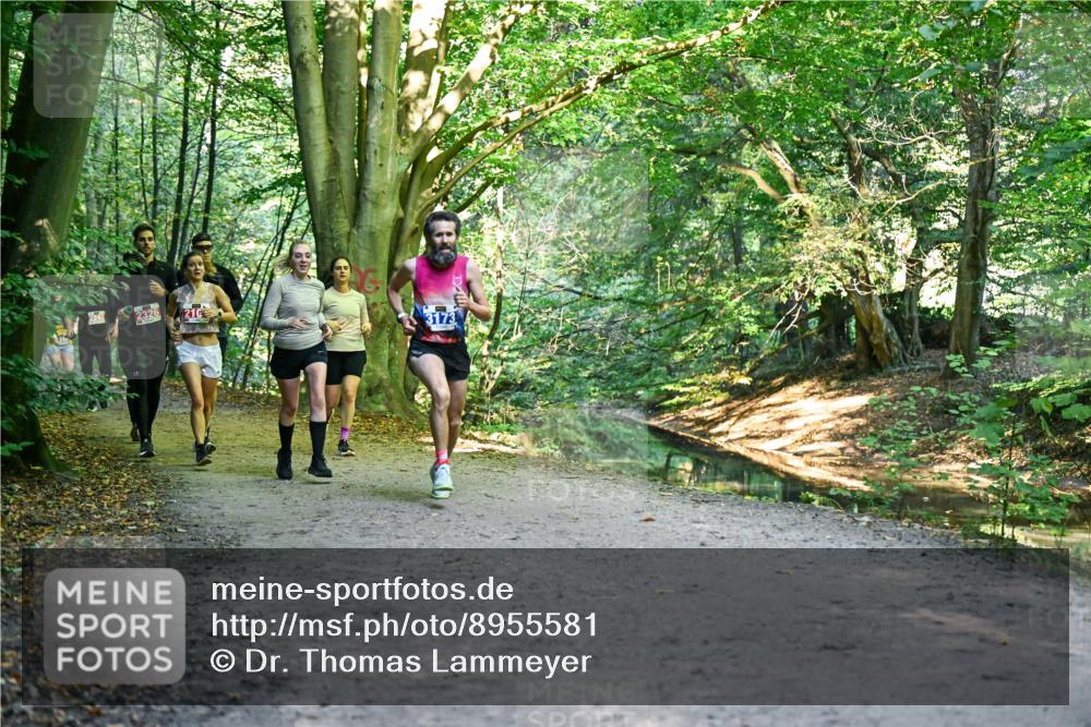 28.09.2025 - 33. Volkslauf durch das schöne Alstertal Dr. Thomas Lammeyer http://msf.ph/oto/8955581 28.09.2025 10:42:04 Laufen 2326, 210, 3173 meine-sportfotos.de
