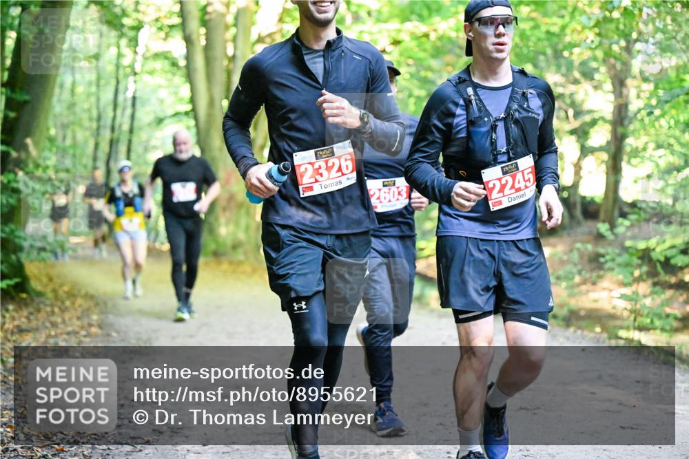 28.09.2025 - 33. Volkslauf durch das schöne Alstertal Dr. Thomas Lammeyer http://msf.ph/oto/8955621 28.09.2025 10:42:09 Laufen 2326, 2603, 2245 meine-sportfotos.de