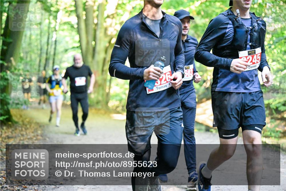 28.09.2025 - 33. Volkslauf durch das schöne Alstertal Dr. Thomas Lammeyer http://msf.ph/oto/8955623 28.09.2025 10:42:09 Laufen 26, 603, 245 meine-sportfotos.de