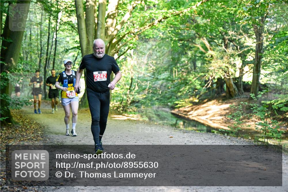 28.09.2025 - 33. Volkslauf durch das schöne Alstertal Dr. Thomas Lammeyer http://msf.ph/oto/8955630 28.09.2025 10:42:10 Laufen 2246, 2242 meine-sportfotos.de