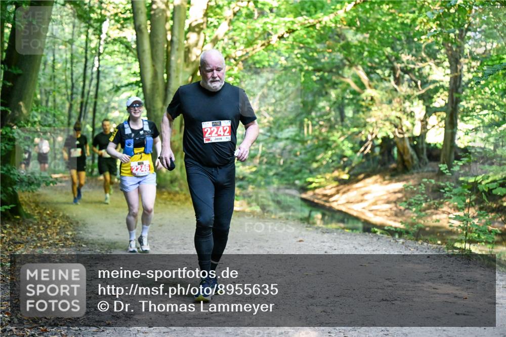 28.09.2025 - 33. Volkslauf durch das schöne Alstertal Dr. Thomas Lammeyer http://msf.ph/oto/8955635 28.09.2025 10:42:11 Laufen 2246, 2242 meine-sportfotos.de