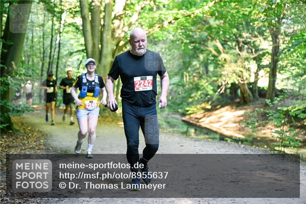 28.09.2025 - 33. Volkslauf durch das schöne Alstertal Dr. Thomas Lammeyer http://msf.ph/oto/8955637 28.09.2025 10:42:11 Laufen 2242 meine-sportfotos.de