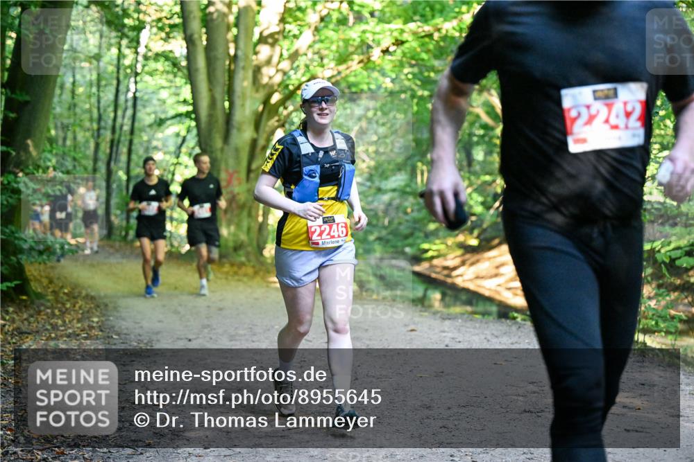28.09.2025 - 33. Volkslauf durch das schöne Alstertal Dr. Thomas Lammeyer http://msf.ph/oto/8955645 28.09.2025 10:42:13 Laufen 2246, 2242 meine-sportfotos.de