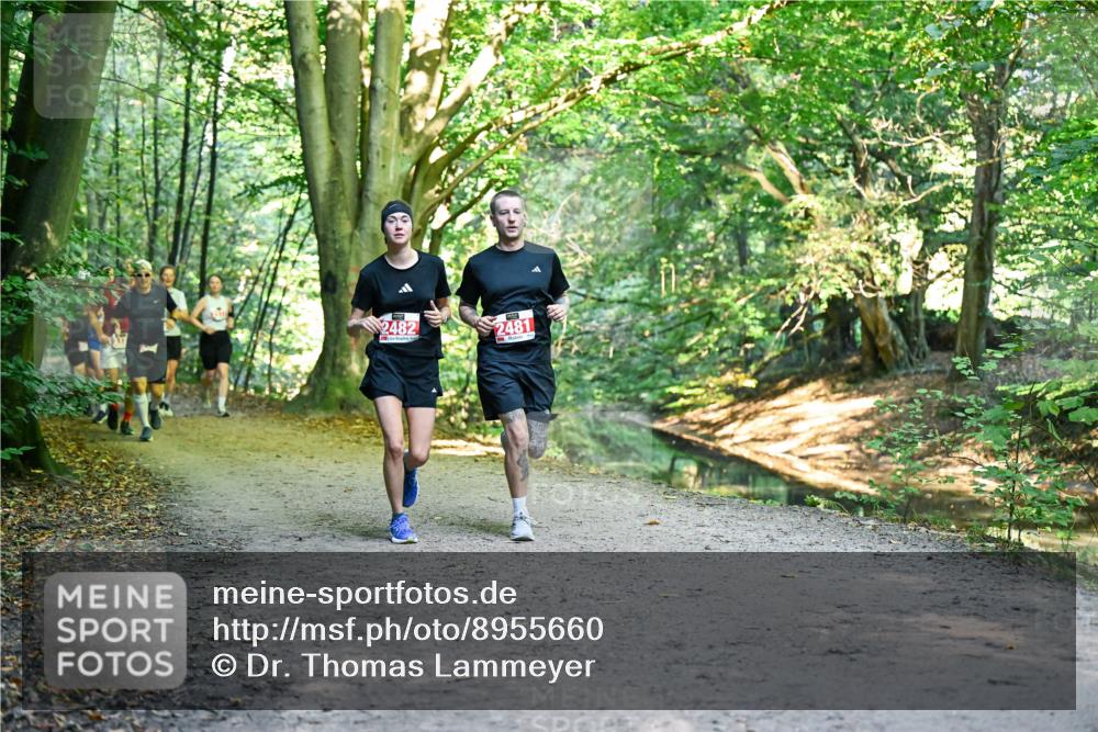 28.09.2025 - 33. Volkslauf durch das schöne Alstertal Dr. Thomas Lammeyer http://msf.ph/oto/8955660 28.09.2025 10:42:15 Laufen 2482, 2481 meine-sportfotos.de