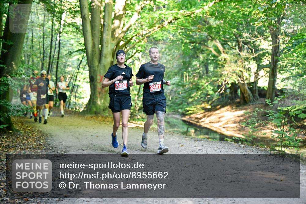 28.09.2025 - 33. Volkslauf durch das schöne Alstertal Dr. Thomas Lammeyer http://msf.ph/oto/8955662 28.09.2025 10:42:15 Laufen 2482, 2481 meine-sportfotos.de
