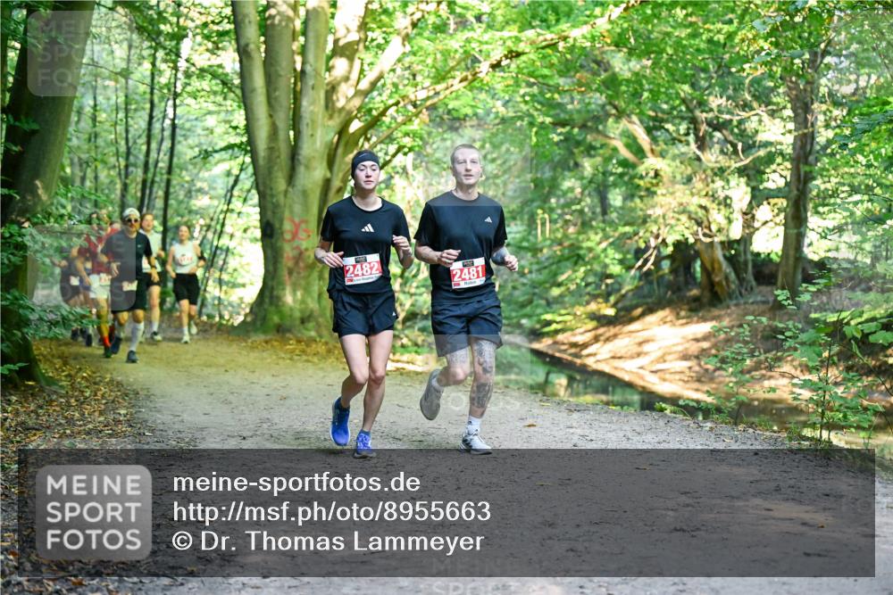 28.09.2025 - 33. Volkslauf durch das schöne Alstertal Dr. Thomas Lammeyer http://msf.ph/oto/8955663 28.09.2025 10:42:15 Laufen 2482, 2481 meine-sportfotos.de