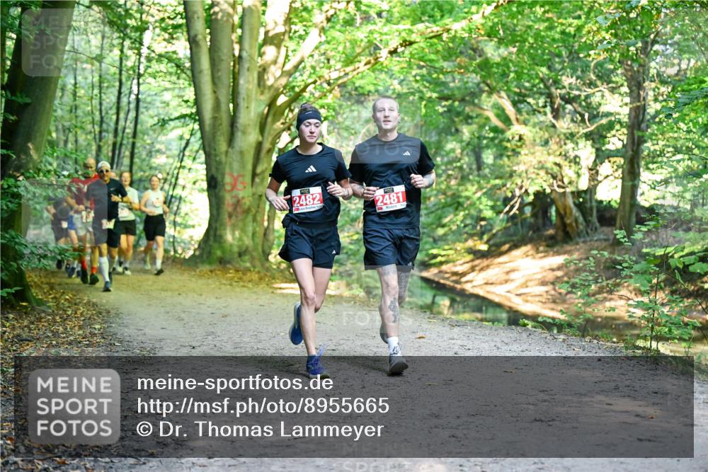 28.09.2025 - 33. Volkslauf durch das schöne Alstertal Dr. Thomas Lammeyer http://msf.ph/oto/8955665 28.09.2025 10:42:16 Laufen 2482, 2481 meine-sportfotos.de