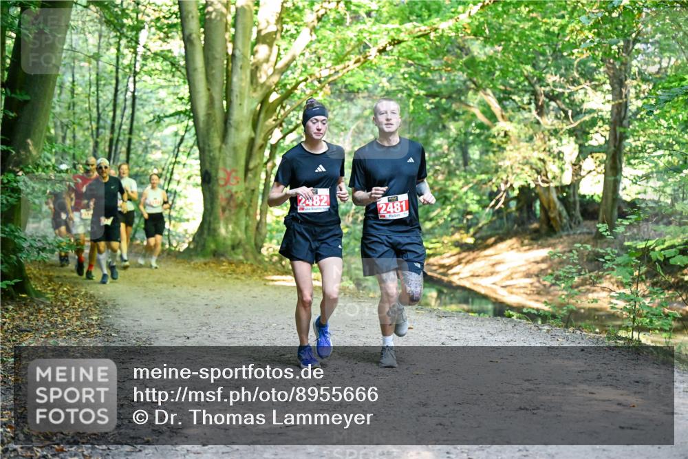 28.09.2025 - 33. Volkslauf durch das schöne Alstertal Dr. Thomas Lammeyer http://msf.ph/oto/8955666 28.09.2025 10:42:16 Laufen 2482, 2481 meine-sportfotos.de