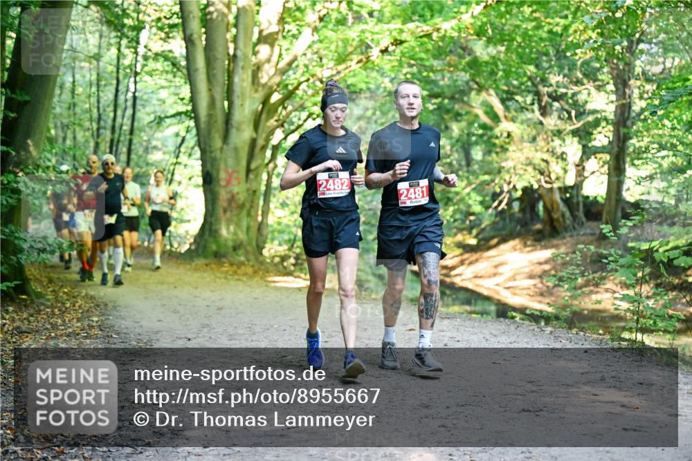28.09.2025 - 33. Volkslauf durch das schöne Alstertal Dr. Thomas Lammeyer http://msf.ph/oto/8955667 28.09.2025 10:42:16 Laufen 2482, 2481 meine-sportfotos.de