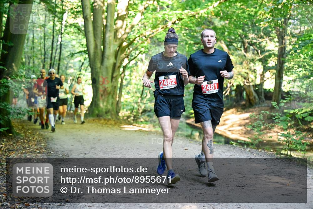28.09.2025 - 33. Volkslauf durch das schöne Alstertal Dr. Thomas Lammeyer http://msf.ph/oto/8955671 28.09.2025 10:42:16 Laufen 2482, 2481 meine-sportfotos.de