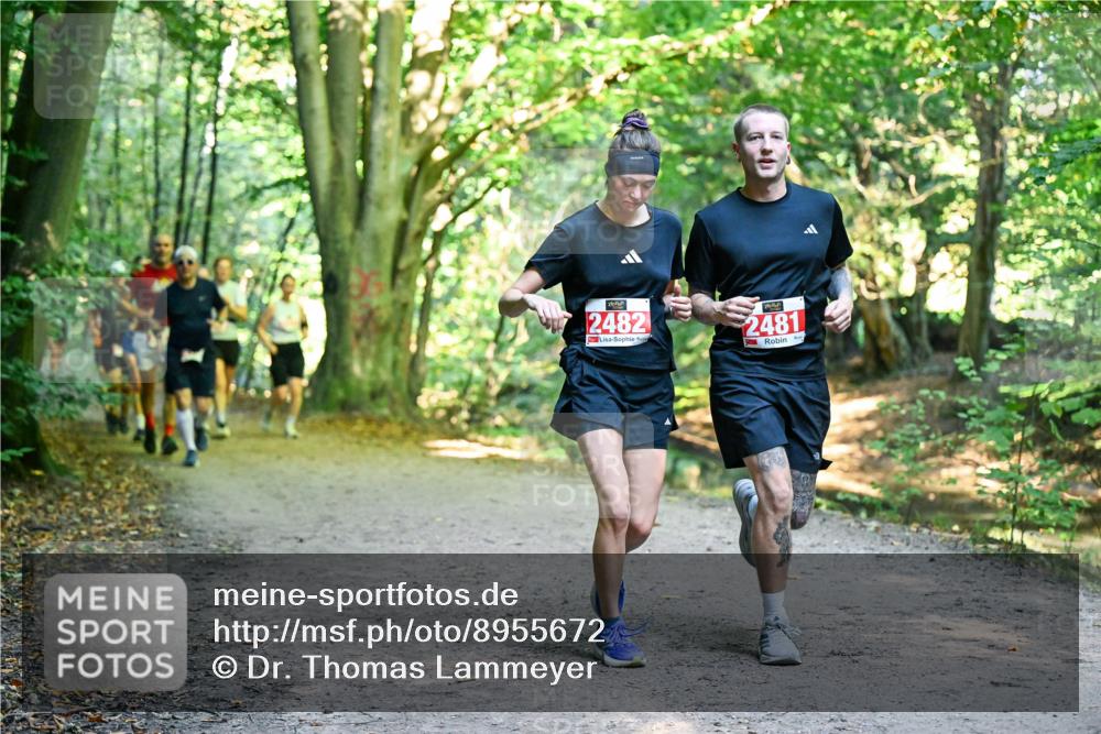 28.09.2025 - 33. Volkslauf durch das schöne Alstertal Dr. Thomas Lammeyer http://msf.ph/oto/8955672 28.09.2025 10:42:16 Laufen 2482, 2481 meine-sportfotos.de