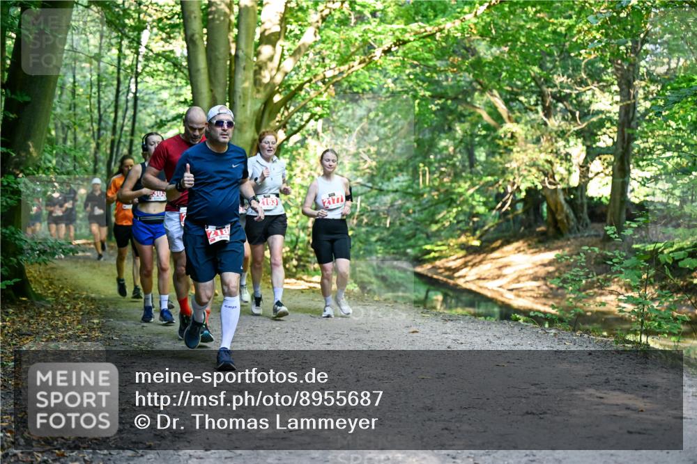 28.09.2025 - 33. Volkslauf durch das schöne Alstertal Dr. Thomas Lammeyer http://msf.ph/oto/8955687 28.09.2025 10:42:20 Laufen 305, 218, 2163 meine-sportfotos.de