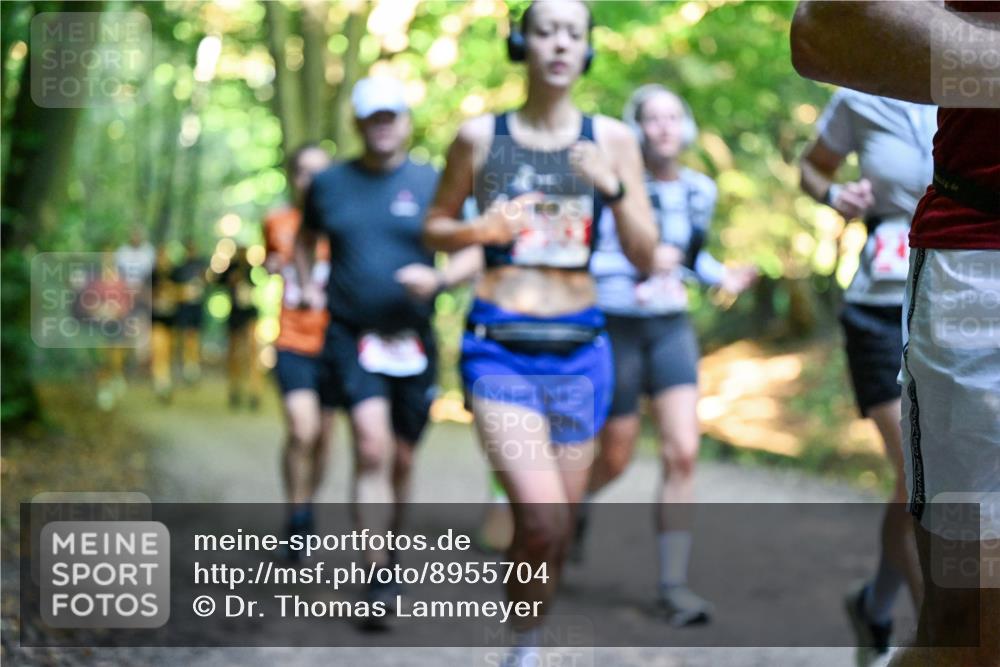 28.09.2025 - 33. Volkslauf durch das schöne Alstertal Dr. Thomas Lammeyer http://msf.ph/oto/8955704 28.09.2025 10:42:23 Laufen  meine-sportfotos.de