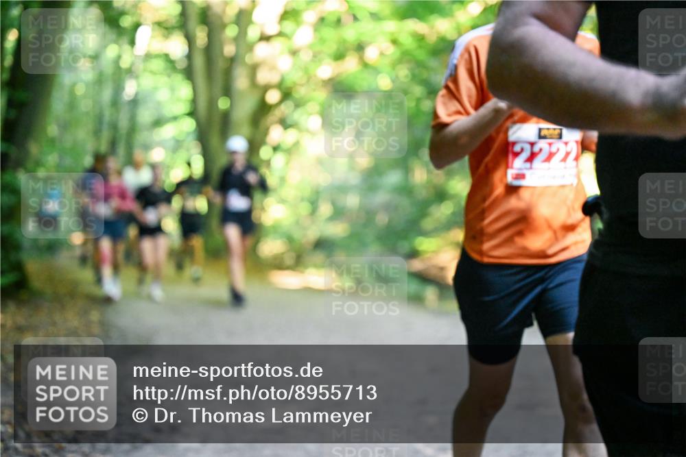 28.09.2025 - 33. Volkslauf durch das schöne Alstertal Dr. Thomas Lammeyer http://msf.ph/oto/8955713 28.09.2025 10:42:25 Laufen 2222 meine-sportfotos.de