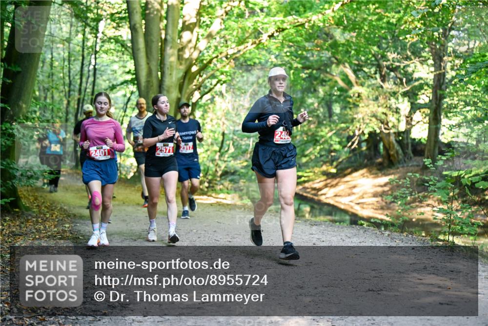 28.09.2025 - 33. Volkslauf durch das schöne Alstertal Dr. Thomas Lammeyer http://msf.ph/oto/8955724 28.09.2025 10:42:27 Laufen 2401, 2571, 317, 2464 meine-sportfotos.de