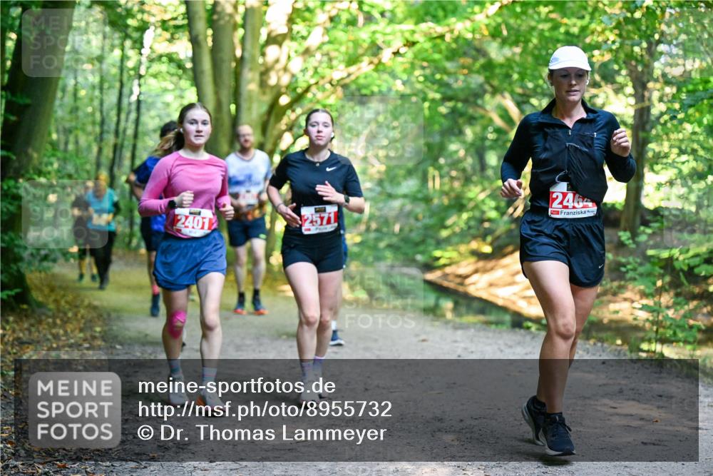 28.09.2025 - 33. Volkslauf durch das schöne Alstertal Dr. Thomas Lammeyer http://msf.ph/oto/8955732 28.09.2025 10:42:28 Laufen 2401, 2571, 2464 meine-sportfotos.de