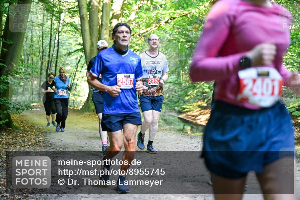 28.09.2025 - 33. Volkslauf durch das schöne Alstertal Dr. Thomas Lammeyer http://msf.ph/oto/8955745 28.09.2025 10:42:30 Laufen 2283, 2567, 2357, 2401 meine-sportfotos.de
