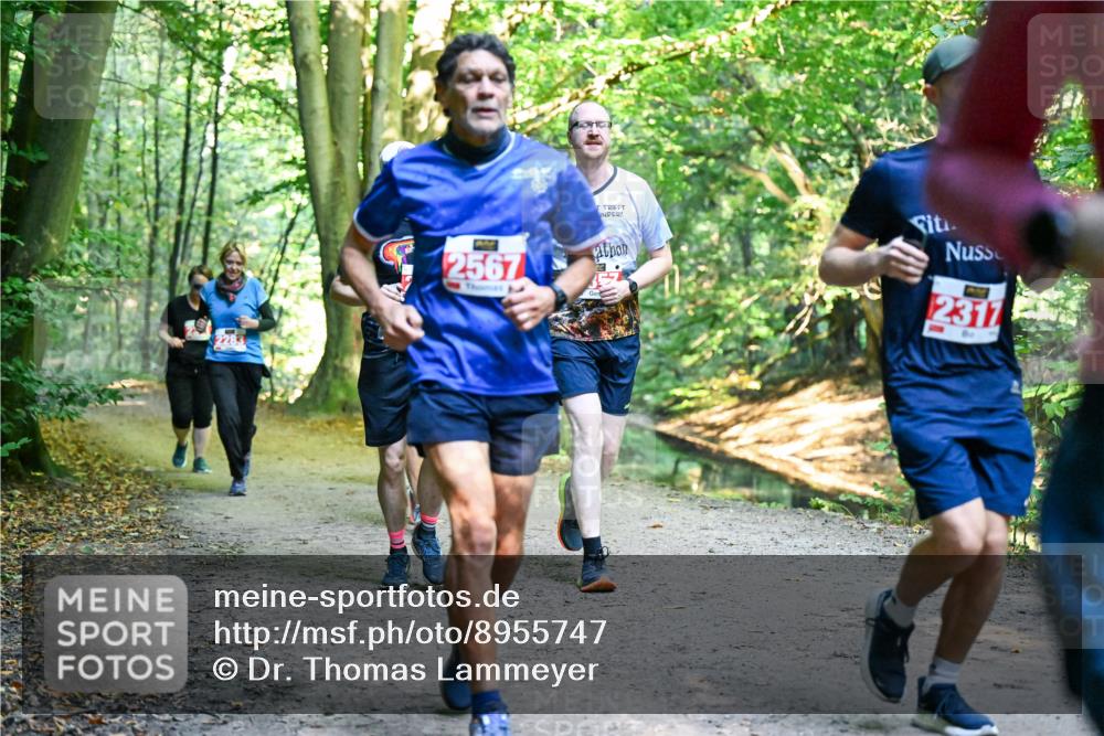 28.09.2025 - 33. Volkslauf durch das schöne Alstertal Dr. Thomas Lammeyer http://msf.ph/oto/8955747 28.09.2025 10:42:30 Laufen 2567, 2317 meine-sportfotos.de